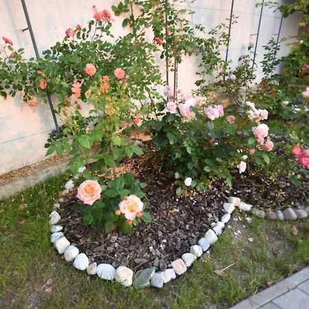 Apartmaji Lejardin Škofljica Extérieur photo