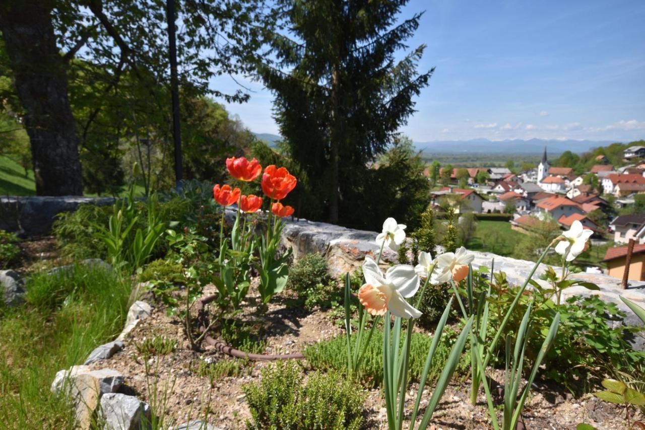 Apartmaji Lejardin Škofljica Extérieur photo
