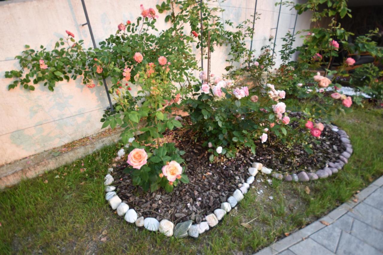 Apartmaji Lejardin Škofljica Extérieur photo